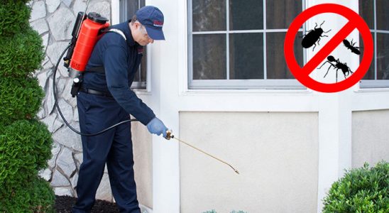 Çaybaşı Gümüşkurt İlaçlama böcek ilaçlama ve haşere kontrolü — ilaclama-tr.com